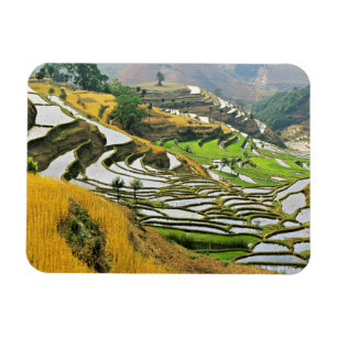 Asia, China, Yunnan, Yuxi Prefecture; Yuanjiang. Magnet