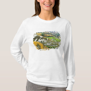 Asia, China, Yunnan, Yuxi Prefecture; Yuanjiang. T-Shirt