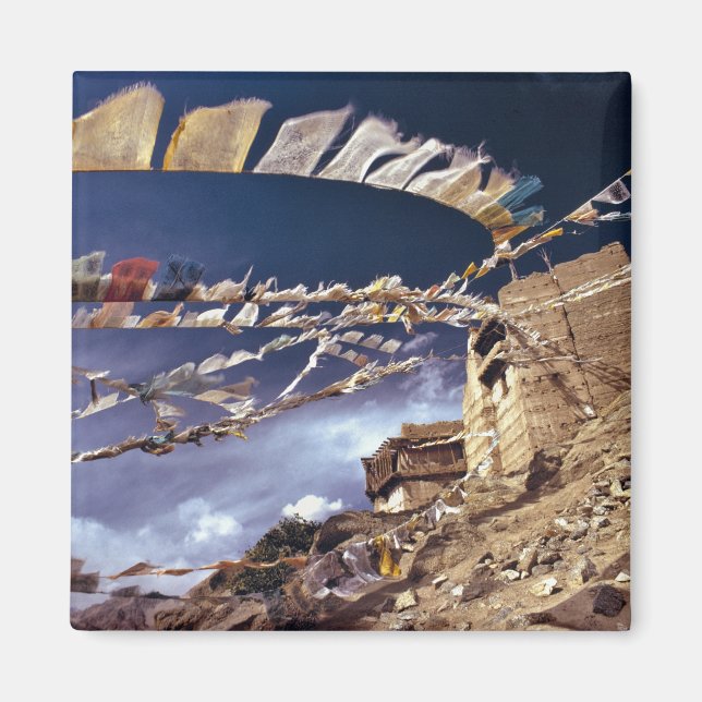 Asia, India, Ladakh, Leh. Known as Little Magnet (Front)