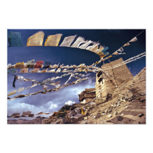 Asia, India, Ladakh, Leh. Known as Little Photo Print