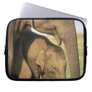 Asia, India, Nargahole National Park. Indian Laptop Sleeve
