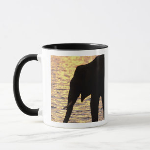 Asia, India, Nargahole National Park. Indian Mug