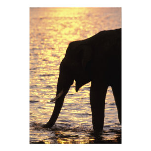 Asia, India, Nargahole National Park. Indian Photo Print
