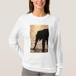 Asia, India, Nargahole National Park. Indian T-Shirt