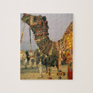 Asia, India, Pushkar. Camel Shamu , Pushkar Jigsaw Puzzle