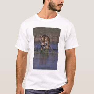 ASIA, India Tiger walking through the water T-Shirt