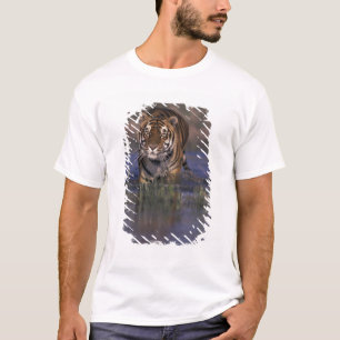 ASIA, India Tiger walking through the water T-Shirt