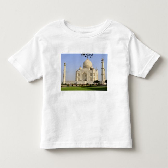 Asia, India, Uttar Pradesh, Agra. The Taj 7 Toddler T-Shirt (Front)
