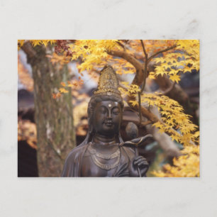 Asia, Japan, Buddha Postcard