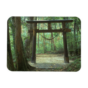 Asia, Japan, Kagoshima, Yakushima, Mountain Magnet