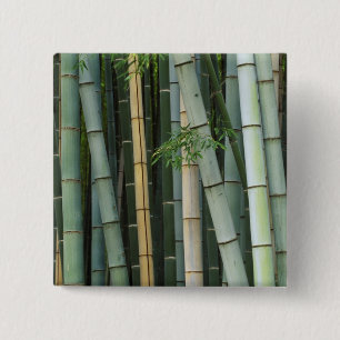 Asia, Japan, Kyoto, Arashiyama, Sagano, Bamboo 15 Cm Square Badge