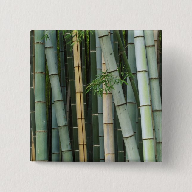 Asia, Japan, Kyoto, Arashiyama, Sagano, Bamboo 15 Cm Square Badge (Front)