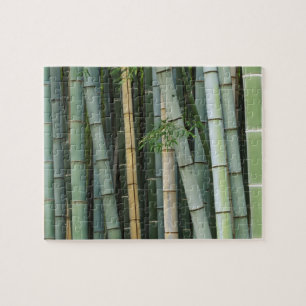 Asia, Japan, Kyoto, Arashiyama, Sagano, Bamboo Jigsaw Puzzle