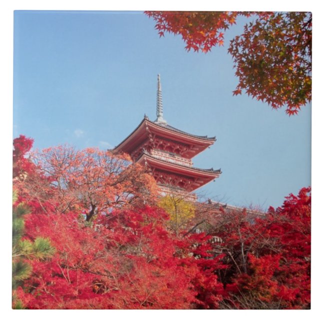 Asia, Japan, Kyoto. Autumn Colour Ceramic Tile (Front)
