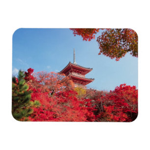 Asia, Japan, Kyoto. Autumn Colour Magnet