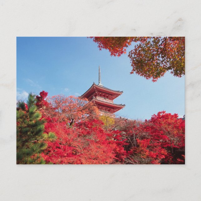 Asia, Japan, Kyoto. Autumn Colour Postcard (Front)