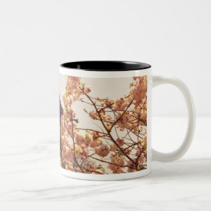 Asia, Japan, Kyoto, Kiyomizu temple in spring Two-Tone Coffee Mug