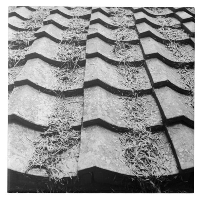 Asia, Japan, Miyajima. Clay roof detail Tile (Front)