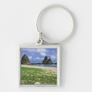 Asia, Japan, Okinawa, Yambaru Coastline, Sea Key Ring