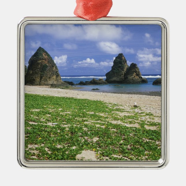 Asia, Japan, Okinawa, Yambaru Coastline, Sea Metal Ornament (Front)