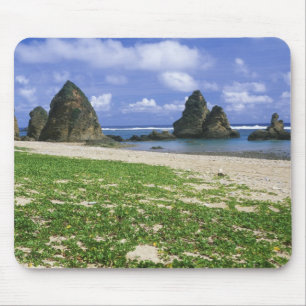 Asia, Japan, Okinawa, Yambaru Coastline, Sea Mouse Pad