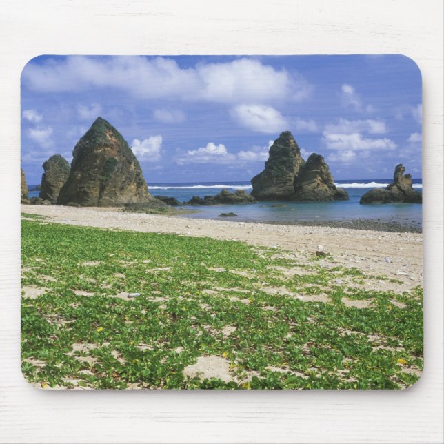 Asia, Japan, Okinawa, Yambaru Coastline, Sea Mouse Pad (Front)