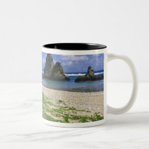 Asia, Japan, Okinawa, Yambaru Coastline, Sea Two-Tone Coffee Mug