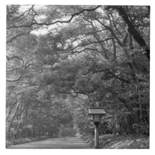 Asia, Japan, Tokyo, Grounds of Meiji Shrine, Ceramic Tile
