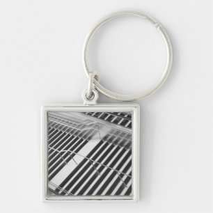 Asia, Japan, Tokyo. Stairs, Tokyo International Key Ring