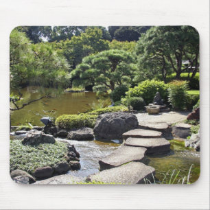 Asia, Japan, Tokyo. The Japanese Garden at the Mouse Pad