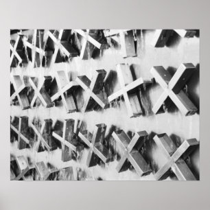 Asia, Japan, Tokyo. The X Fountain, Ueno Poster