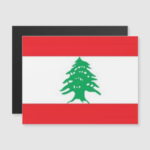 Asia - Lebanon - Flag -