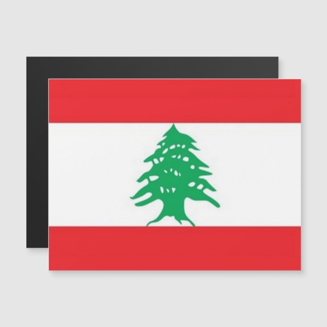 Asia - Lebanon - Flag - (Front/Back)