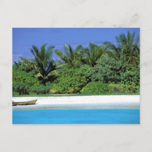 Asia, Maldives. North Male Atoll Postcard