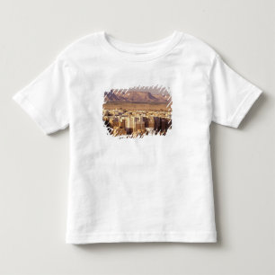 Asia, Middle East, Republic of Yemen. Shibam Toddler T-Shirt