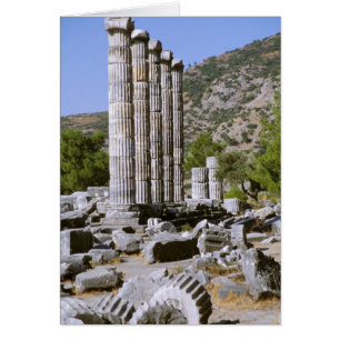 Asia, Middle East, Turkey, Ephesus. Temple of