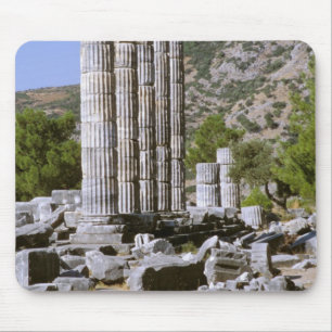Asia, Middle East, Turkey, Ephesus. Temple of Mouse Pad