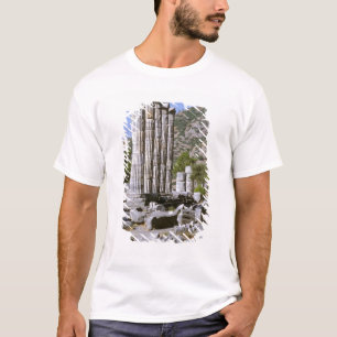 Asia, Middle East, Turkey, Ephesus. Temple of T-Shirt