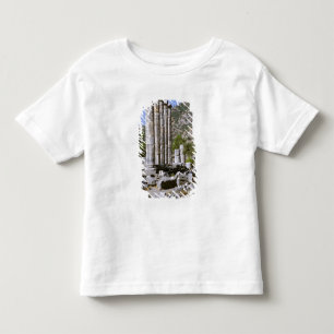 Asia, Middle East, Turkey, Ephesus. Temple of Toddler T-Shirt