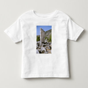 Asia, Middle East, Turkey, Ephesus. Temple of Toddler T-Shirt