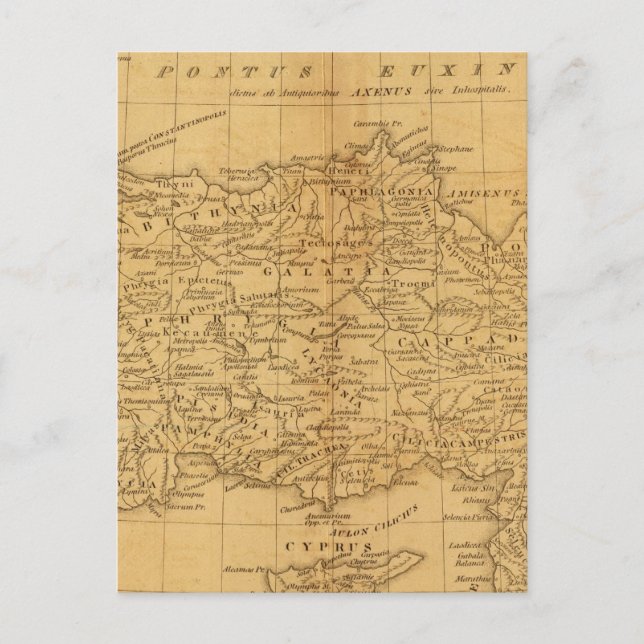 Asia Minor, Syria Postcard (Front)