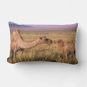 Asia, Mongolia, Gobi Desert, Great Gobi Lumbar Cushion
