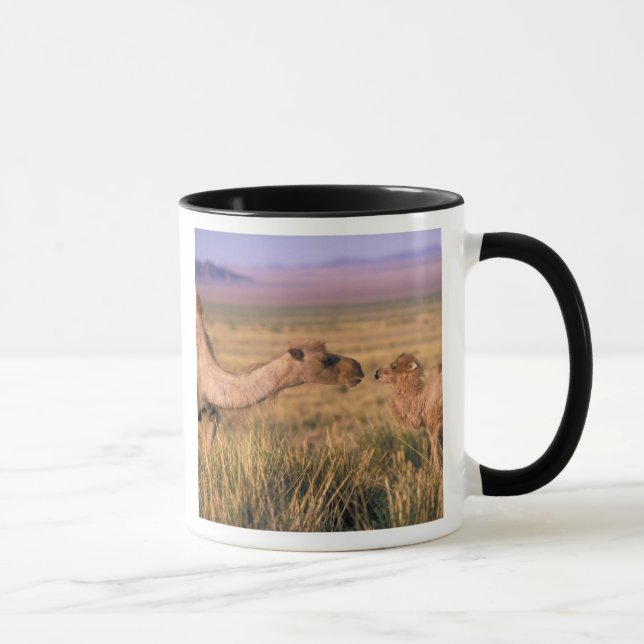 Asia, Mongolia, Gobi Desert, Great Gobi Mug (Right)
