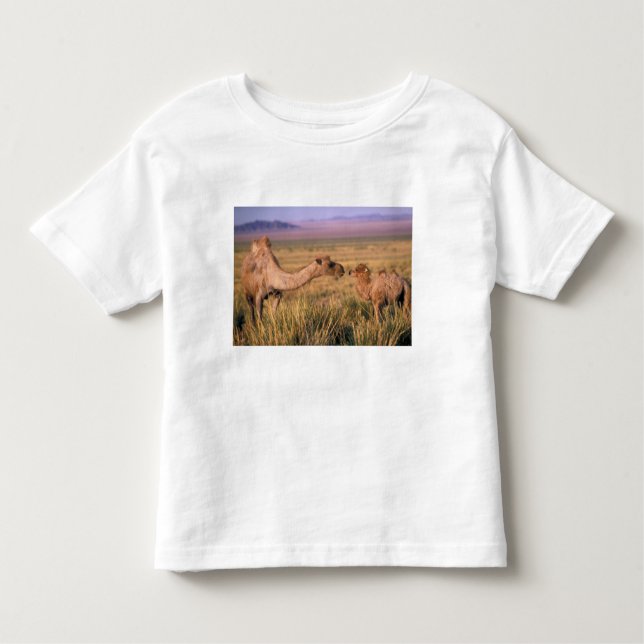 Asia, Mongolia, Gobi Desert, Great Gobi Toddler T-Shirt (Front)