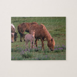 Asia, Mongolia, Gobi Desert. Wild Horses Jigsaw Puzzle