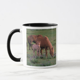 Asia, Mongolia, Gobi Desert. Wild Horses Mug