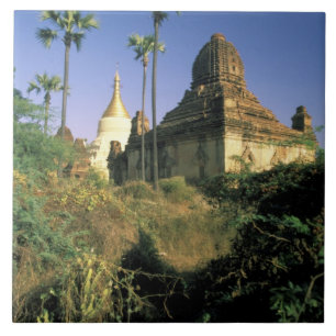 Asia, Myanmar, Bagan. Kubyauk-Gyi Temple. Tile