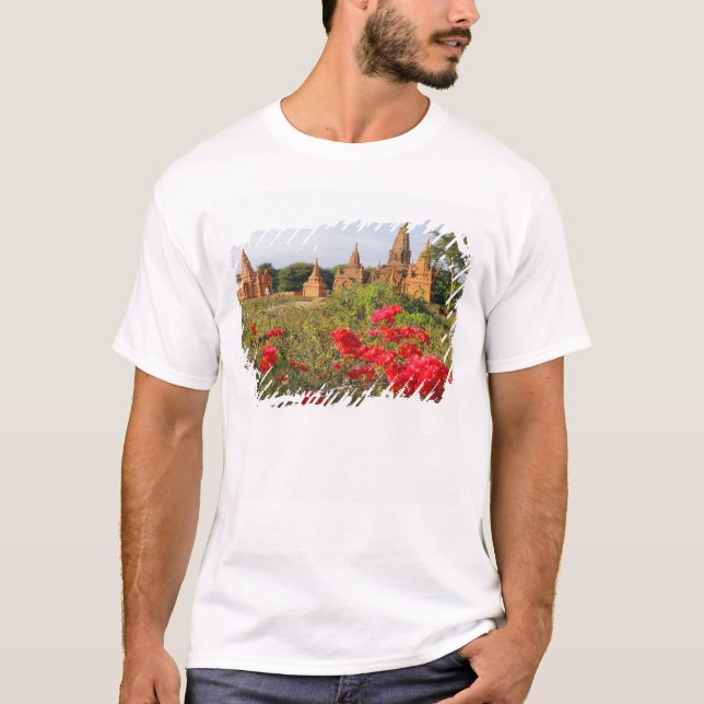 Asia, Myanmar (Burma), Bagan (Pagan). A Bagan T-Shirt (Front)