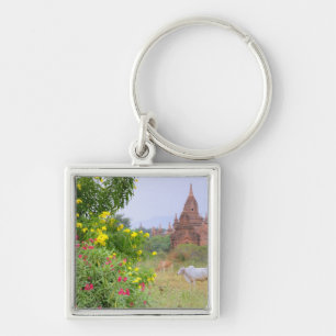 Asia, Myanmar (Burma), Bagan (Pagan). Cows Key Ring