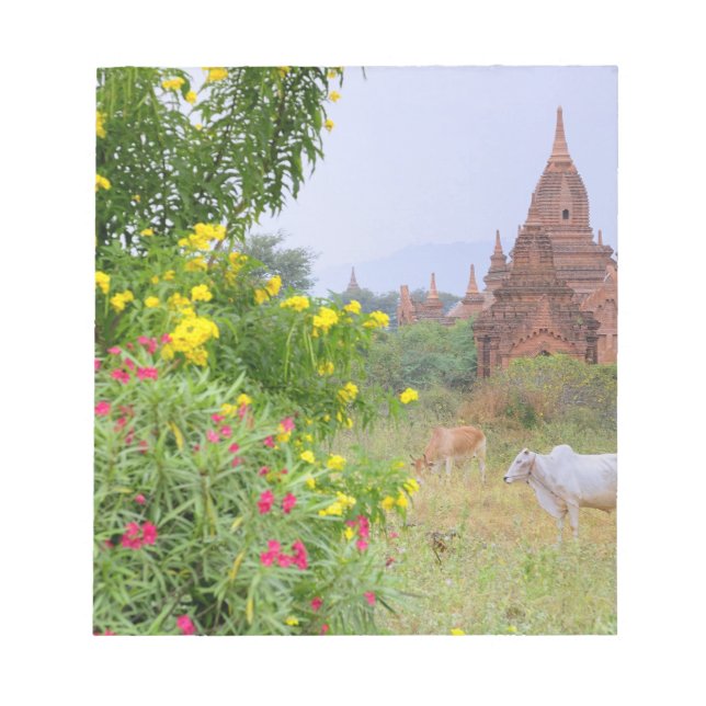 Asia, Myanmar (Burma), Bagan (Pagan). Cows Notepad (Front)
